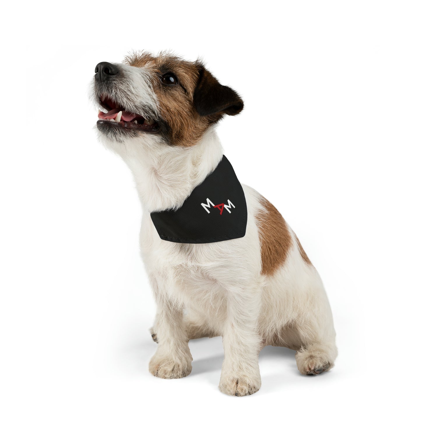 MAM Pet Bandana Collar
